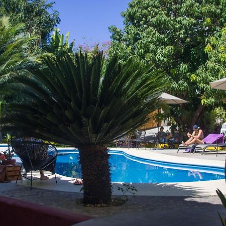 Casa Losodeli & Coworking- Adults Only Puerto Escondido  Ngoại thất bức ảnh