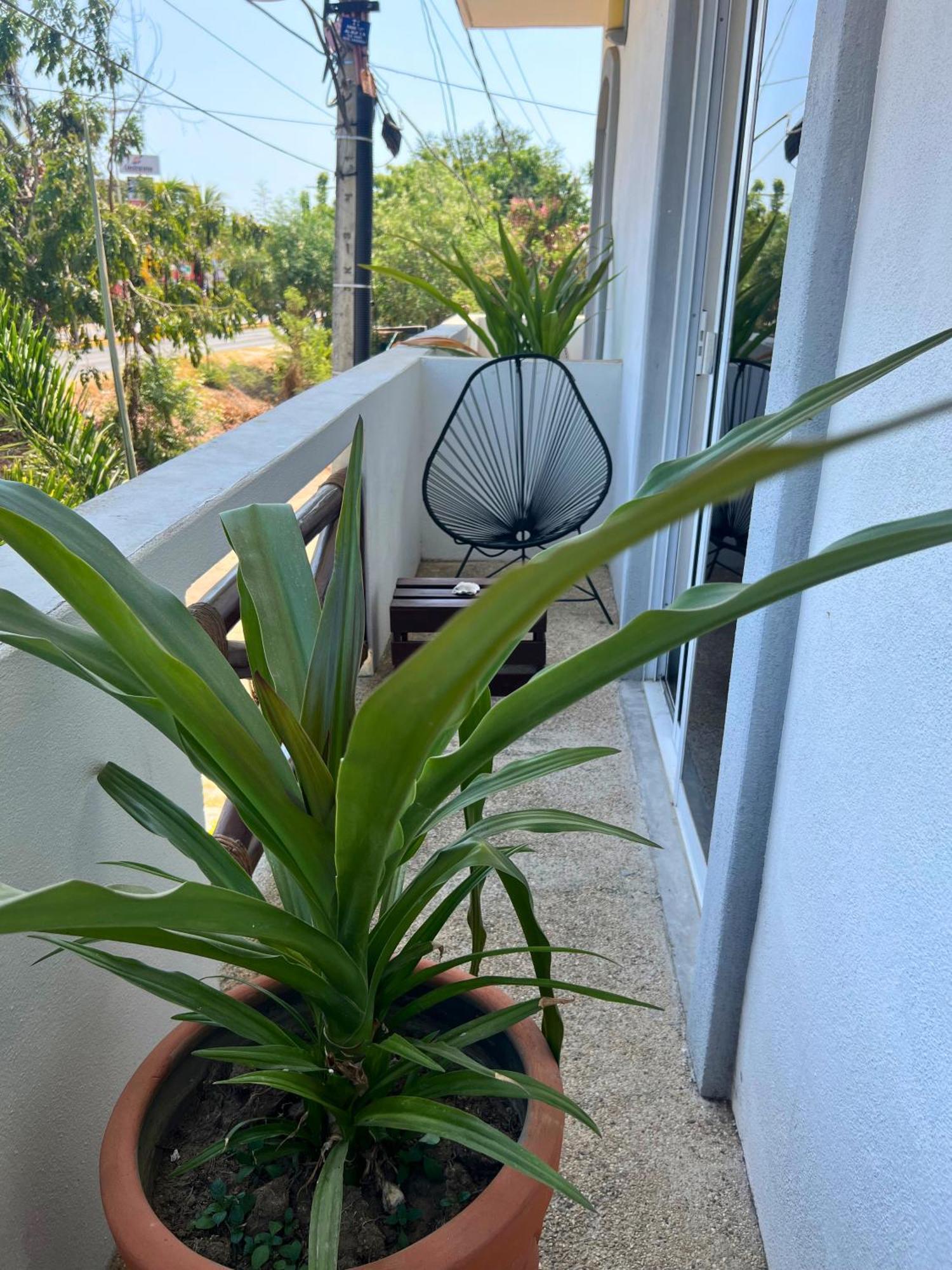 Casa Losodeli & Coworking- Adults Only Puerto Escondido  Phòng bức ảnh